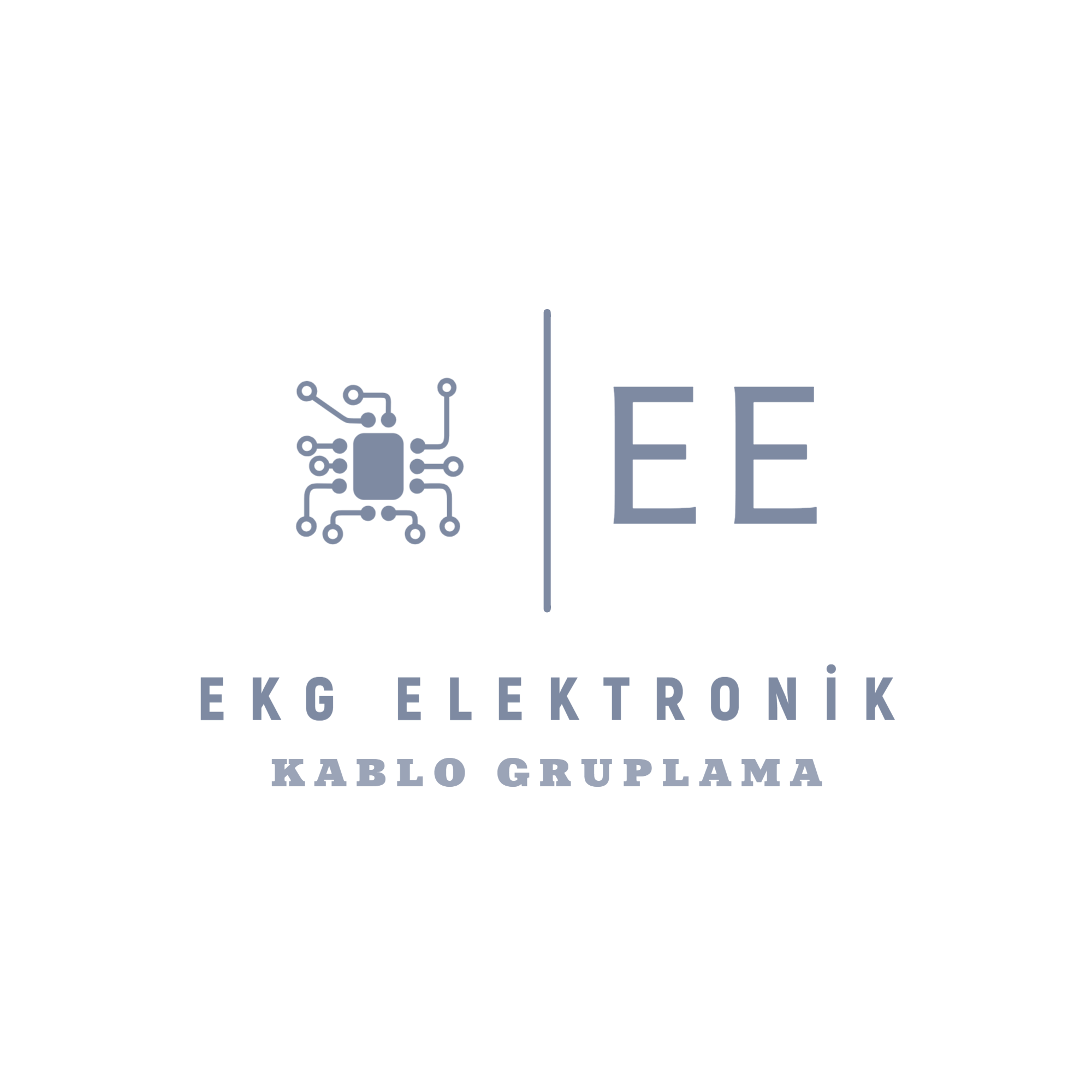 EKG - Elektronik ve Medikal Sistemler